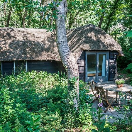 Aa Casia Vakantiehuis Zeegse Екстер'єр фото