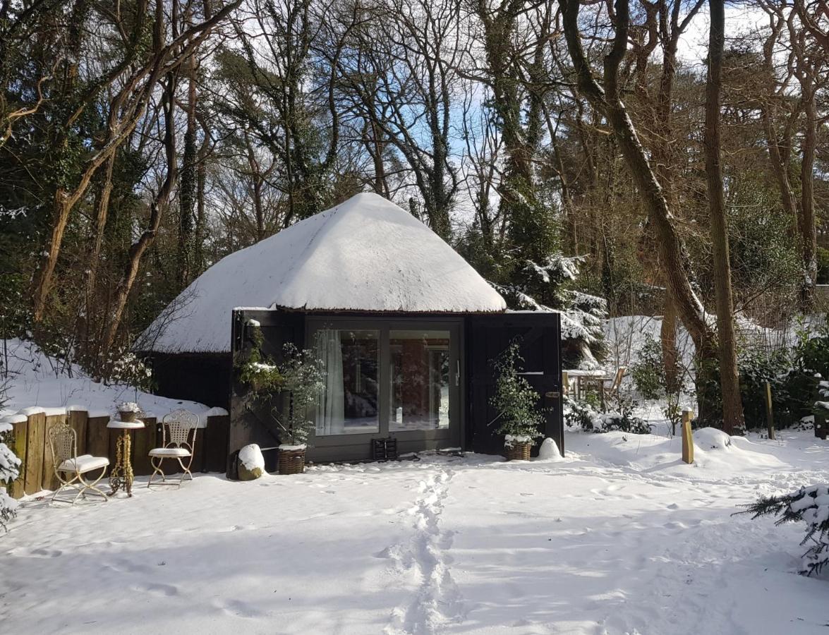 Aa Casia Vakantiehuis Zeegse Екстер'єр фото